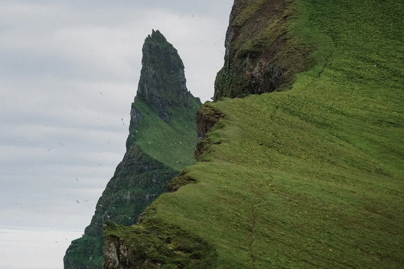 Hornstrandir, unbewohntes Naturreservat im Norden Islands