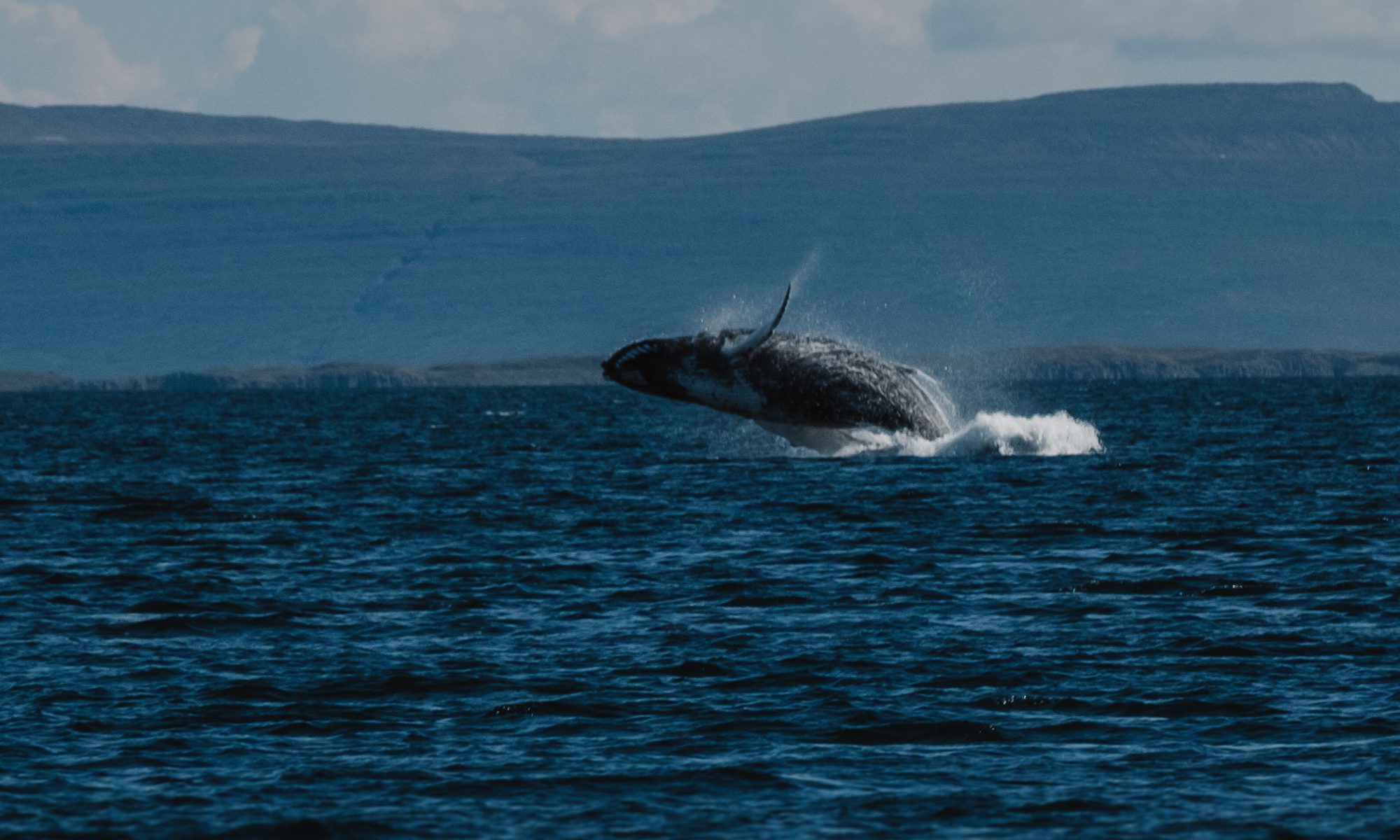Nord-Adventure-Reise in den Westfjorden