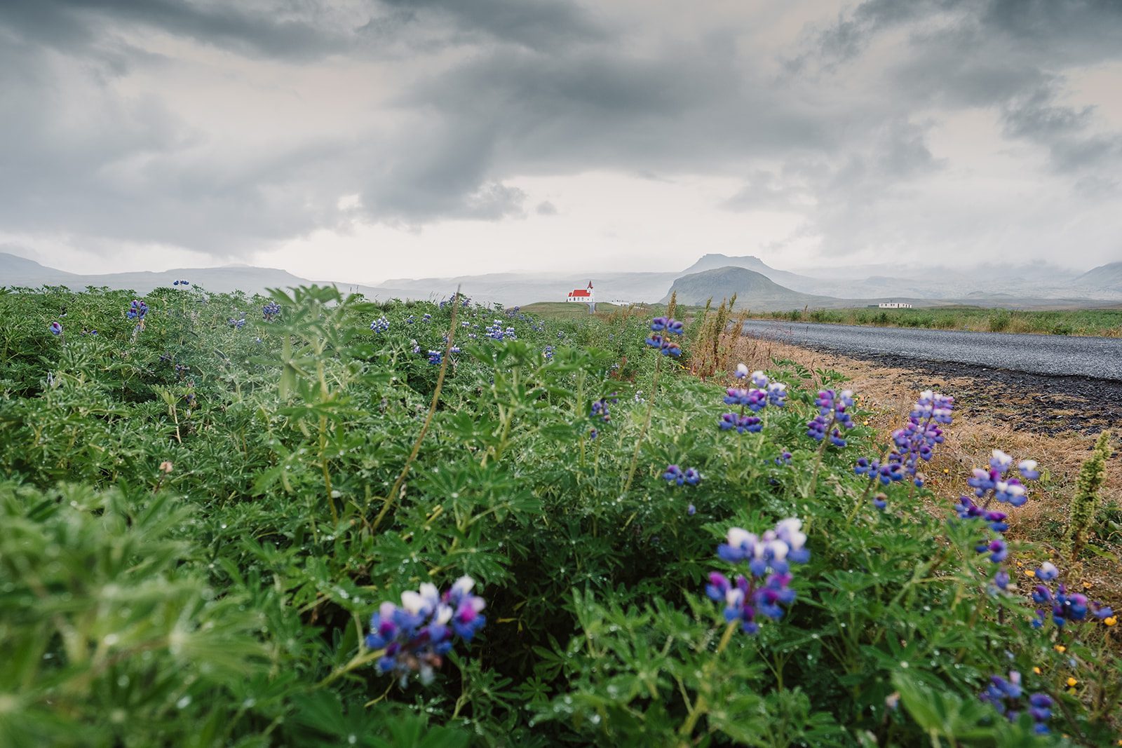 Nord-Adventure-Reise in den Westfjorden