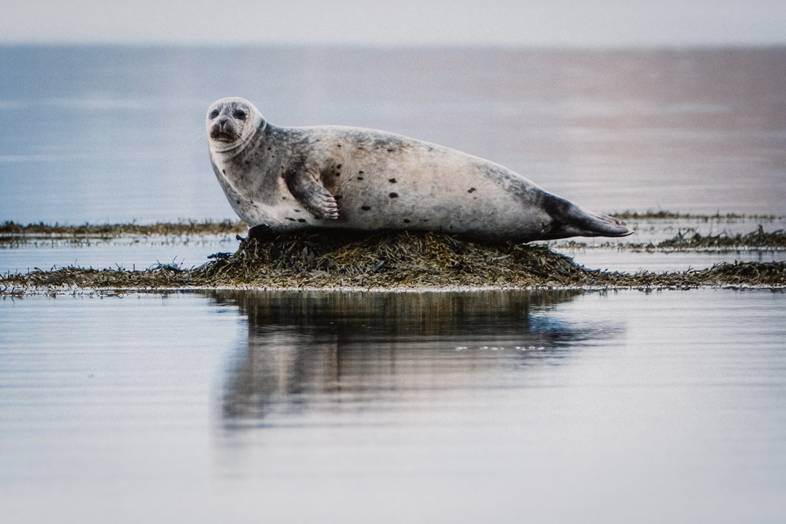 Nord-Adventure-Reise in den Westfjorden